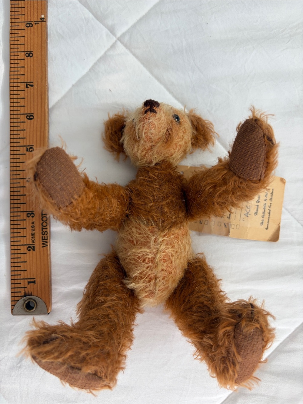 Teddy bear ace - Picture 5 of 11